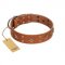 "Dreamy Gleam" FDT Artisan Tan Leather Cane Corso Collar Adorned with Stars and Squares