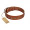 "Lucky Star" Handmade FDT Artisan Designer Tan Leather Cane Corso Collar with Round Plates