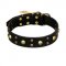 FDT Artisan 'Heavy Metal' Leather Cane Corso Collar with Skulls and Studs 1 1/2 inch (40 mm)