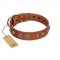 "Era Infinitum" FDT Artisan Tan Leather Cane Corso Collar Adorned with Chrome-plated Circles