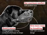 Reinforced Leather Cane Corso Muzzle - Walking and Training