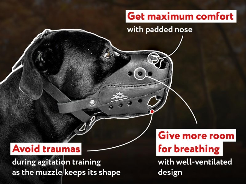 Reinforced Leather Cane Corso Muzzle - Walking and Training