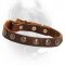 Brass Studs Decorated Leather Dog Collar for Cane Corso
