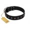 "Flower Rhapsody" FDT Artisan Premium Quaulity Black Leather Cane Corso Collar