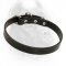 Walking Leather Dog Collar-Durable Best Cane Corso Collar