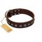 "Kingly Grace" FDT Artisan Brown Leather Cane Corso Collar with Silver-like Dotted Studs