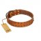 "Walk and Shine" FDT Artisan Tan Leather Cane Corso Collar with Antiqued Studs
