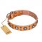 'Extra Sparkle' FDT Artisan Handcrafted Cane Corso Tan Leather Dog Collar