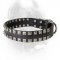 Fashionable Leather Dog Collar with Silverish Studs