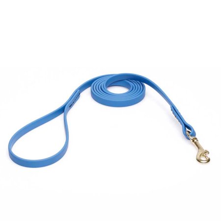 Amazing Blue Biothane Cane Corso Leash for Walking, Tracking