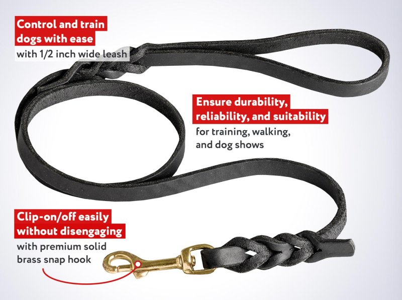 13 mm Leather Cane Corso Leash with Braids
