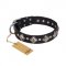 'Silver Charm' FDT Artisan Decorated Genuine Leather Collar with Plates and Studs for Cane Corso