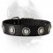 Wide Nylon Dog collar Decorated with Silver Looking Conchos