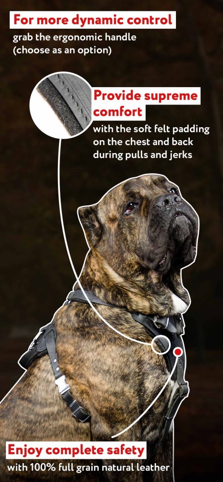 Genuine Leather Pulling Dog Harness 1" wide 33"-37" chest Rottweiler Cane Corso