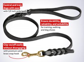 13 mm Leather Cane Corso Leash with Braids