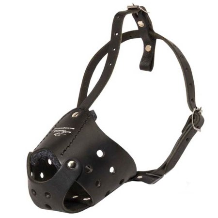 Universal in Use Safe Leather Cane Corso Muzzle