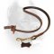 Leather Cane Corso Leash with Circle Handle for Dog Training