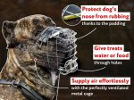 'The Silencer' Easy to Use Wire Basket Cane Corso Muzzle With One Strap