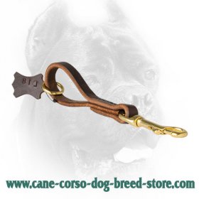 Pull Tab Leather Cane Corso Leash