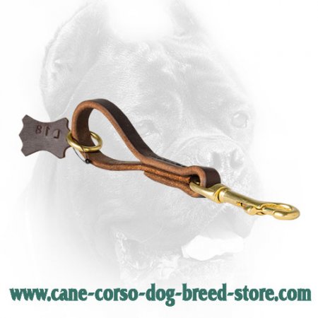 Pull Tab Leather Cane Corso Leash