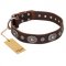 "Extra Pizzazz" FDT Artisan Adorned Brown Leather Cane Corso Collar