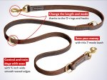 Convertible Leather Dog Leash Multi Functional