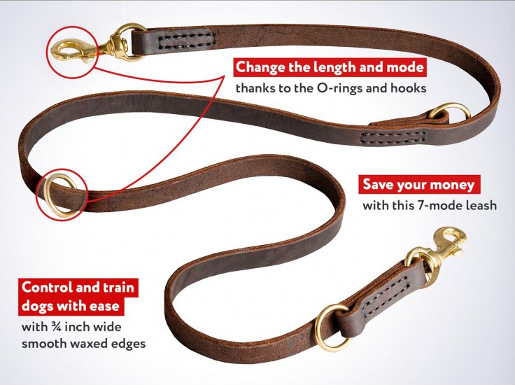 multi length dog lead