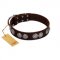 "High and Mighty" FDT Artisan Classy Brown Leather Cane Corso Collar with Embellished Brooches