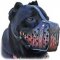 Handcrafted Flamed Design Reinforced Leather Cane Corso Muzzle