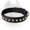 Unique Invention - 1 Row Studs Nylon Dog Collar -1 1/2" wide for Cane Corso Breed