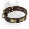 Designer Leather Cane Corso Collar with Vintage Brass Plates