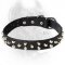New Pyramid Studded Dog Collar for Cane Corso Breed