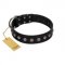 "Silver Flower" Exclusive FDT Artisan Black Leather Cane Corso Collar with Silver-Like Studs