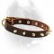 Field Leather Dog Collar with Amazingly Shining Brass Spikes
