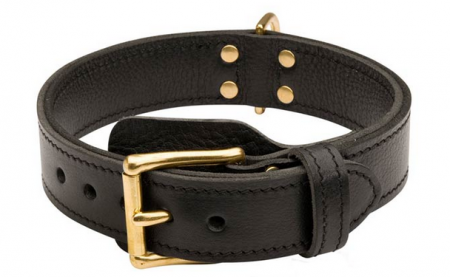 Two ply leather agitation dog collar for CANE CORSO