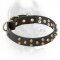 Skillfully Studded Leather Cane Corso Collar for Walking