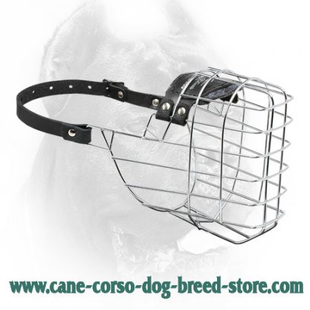 'The Silencer' Easy to Use Wire Basket Cane Corso Muzzle With One Strap