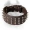 3 Inch Leather Cane Corso Collar with 4 Rows of Spikes