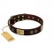 "Bow-Wow Effect" FDT Artisan Brown Leather Cane Corso Collar with Plates and Ornate Studs