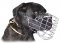 'The Silencer' Easy to Use Wire Basket Cane Corso Muzzle With One Strap