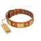 "Mutt The Daredevil" FDT Artisan Tan Leather Cane Corso Collar with Old Bronze-like Skulls and Plates