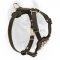 Small Leather Cane Corso Harness with Pyramids