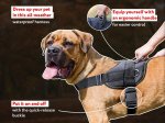 Nylon multi-purpose dog harness for tracking-pulling-Cane Corso