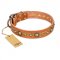 "Feast of Luxury" FDT Artisan Tan Leather Cane Corso Collar with Old Bronze Look Circles