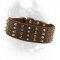 Custom Made Leather Dog Collar Combining Rows Of Spikes And Studs