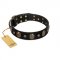 Pirate's Spell' FDT Artisan Black Leather Cane Corso Collar with Engraved Studs and Medallions