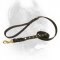 Studs Decorated Leather Dog Leash - Designer Cane Corso Lead