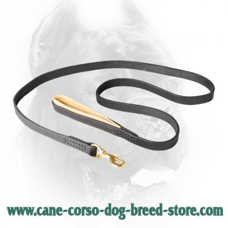 Handmade Strong Dog Leash with Padded Handle for Cane Corso