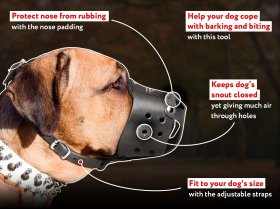 Universal in Use Safe Leather Cane Corso Muzzle