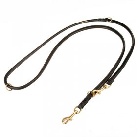 Multifunctional Round Leather Cane Corso Leash